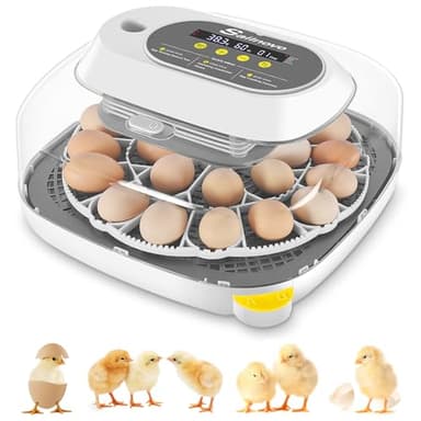 Sailnovo Couveuse Oeuf Automatique 24 Oeufs, Couveuses Oeuf Pour ufs de Volailles avec 4 Modes vue à 360°, Incubateur Oeuf Retournement Automatique des Oeufs et Contrôle de la Température (Gris)