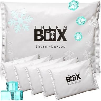 THERM BOX Lot de 6 blocs réfrigérants professionnels pour glacière - 450 g - Réutilisables - Blanc