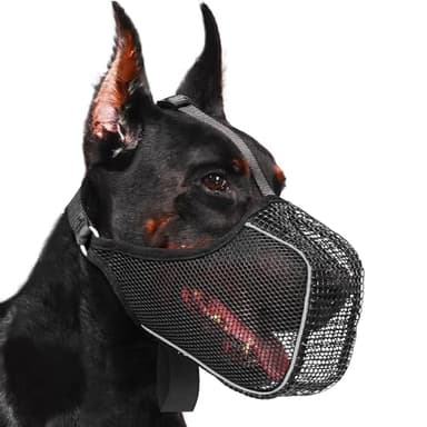 XFSRG Muselière Chien Respirante en Maille Muselière pour Chiens de Petite Taille Confortable et Sécurisée Idéale pour Promenades et Visites chez Le Vétérinaire (Noir, L)