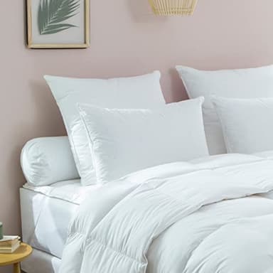DODO - Oreiller Medium 65x65 cm - Anti-Acariens d'origine Végétale - Enveloppe 100% Coton Percale - Garnissage 70% Duvet d'oie Neuf - pour Dormeur Latéral - Lavable en Machine à 40°C