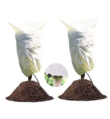 LINSOCLE Lot de 2 Voile Hivernage Plante Exterieur 100 x 80cm, Housse Protection Plantes en Pot Contre Le Froid et Le Gel, 60g/m² Bâche pour Olivier Palmier Citronnier Arbustes
