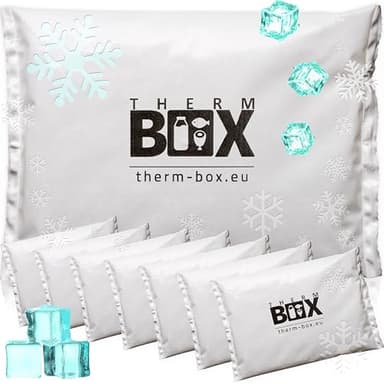 THERM BOX Lot de 8 blocs réfrigérants professionnels pour glacière - 450 g - Réutilisables - Blanc