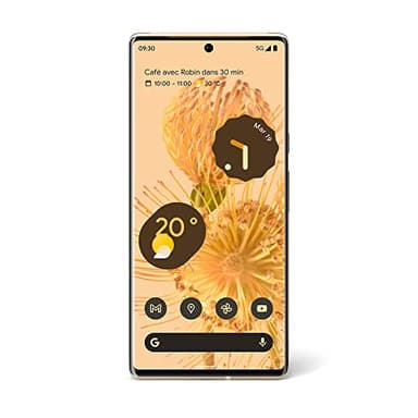 Google Pixel 6 Pro – Smartphone Android 5G débloqué avec Appareil Photo de 50 Mpx et Objectif Grand Angle – [128 GB] – [Ensoleillé]