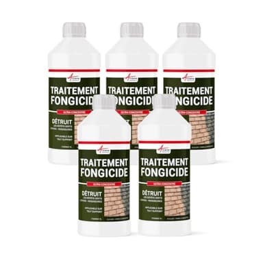 ANTI-MOUSSE ULTRA CONCENTRÉ : Fongicide anti dépôt vert toiture, mur, façade, terrasse, élimine algues et lichens - 5 L (5 x 1L) - ARCANE INDUSTRIES