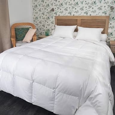 CASTEX - Couette Tempérée Duvet d'oie/Coton Bio 140x200
