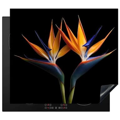 KitchenYeah© Protection Plaque Induction 60x52 cm Protege Décoration Cuisine Cache Protège De Cuisson Accessoire Plantes - Fleurs - Fleur d'oiseau de paradis - Portrait - Noir