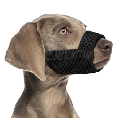 XFSRG Muselière pour Chiens Muselière Souple Réglable Respirantes Empêchent Prévient L'aboiement, D'ingérer des débris et Mordre Un étranger