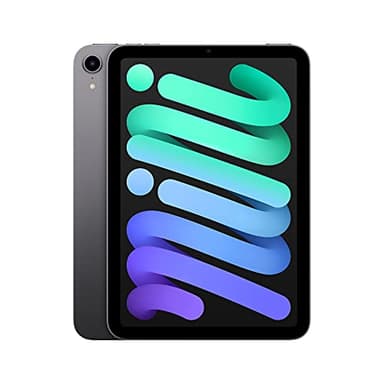 2021 Apple iPad Mini (8,3-pouces, Wi-FI, 256 Go) Gris Sidéral (Reconditionné)