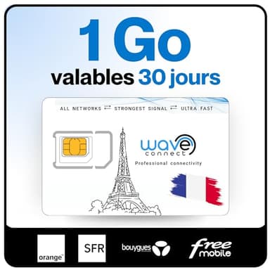 Wave Connect SIM Données France 4 Réseaux, 1 Go Valables 30 Jours, Bouygues, Free, Orange, SFR, 4G, 5G, Prépayée, Active dès La Première Utilisation, UE, IoT, Sécurité
