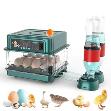 Couveuse Oeuf Automatique, Incubateur Automatique 15-36 Oeufs, avec Système de Retournement Automatique et Contrôle de la Température, pour Éclosion d'Œufs de Poule Canard Caille (10 Oeuf) (10 Oeuf)