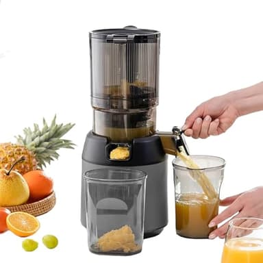 Extracteur de jus professionnel 300 W à extraction lente avec goulotte d'alimentation de 13 cm, presse à froid pour fruits et légumes, extracteur de jus portable avec séparation du marc.