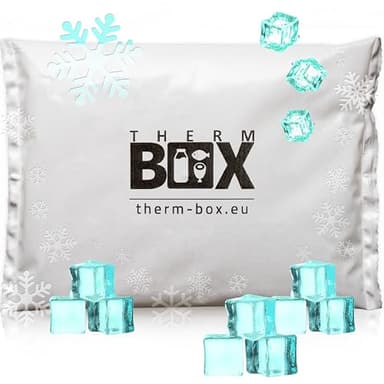 THERM BOX Lot de 50 blocs réfrigérants professionnels pour glacière - 450 g - Réutilisables