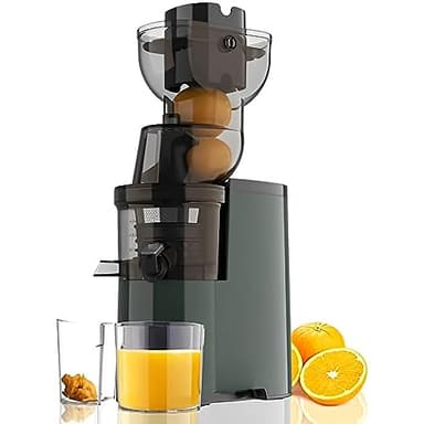 Extracteur de jus de canne à sucre, extracteur de jus à froid, extracteur de jus professionnel lent 250 W avec grande goulotte d'alimentation de 3,5 pouces pour fruits et légumes