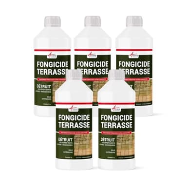 Fongicide Anti dépôt vert concentré pour terrasse et sols - Élimine aussi algues et lichens - ANTI-MOUSSE - 5 L (5 x 1L) - ARCANE INDUSTRIES