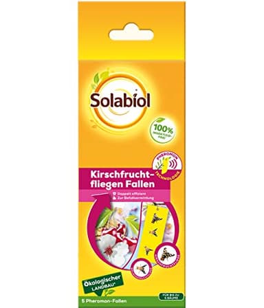 Solabiol Lot de 5 pièges à Fruits de Cerisier Jaune