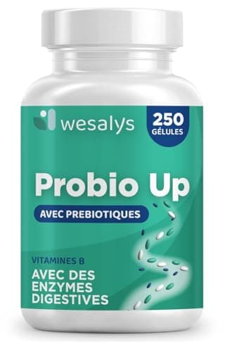 Probiotique flore intestinale - 250 gélules - 20 souches bactériennes, Probiotiques et prebiotique, lactobacillus gasseri, Bifidobactéries, Enzymes digestives, Inuline, FOS, 20 milliards UFC