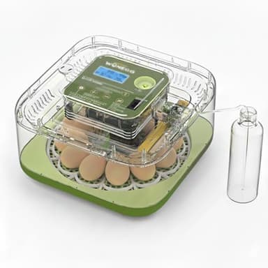 Couveuse Automatique 12 Œufs de Poule ou 35+ de Caille/Oiseau, Incubateur avec Contrôle d'Humidité, Retournement Automatique et Mire-Œufs - Bouteille Incluse, Ultra-Précis. Idéal Débutant ou Confirmé.