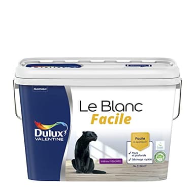 Dulux Valentine Le Blanc Facile - Peinture Intérieure Murs, Plafonds, Boiseries - Facile à appliquer - Velours Blanc 5 L