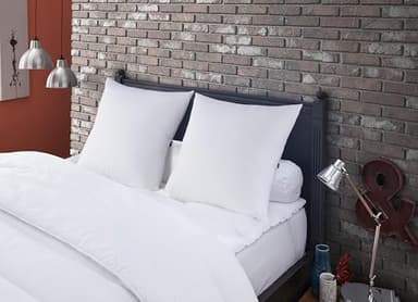 DODO - Oreiller Anti-Acariens et Punaises de Lit 60x60 cm - Confort Médium - Enveloppe 100% Polyester - Garnissage 100% Polyester Thermolite Lin Protect- Lavable en Machine à 40°C