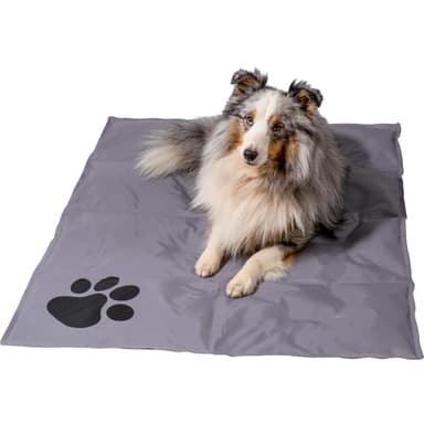 Dobar 60422 Grand Tapis rafraîchissant pour Chien Motif Pattes Gris 99,5 x 70 cm
