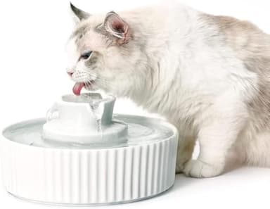 VinDox 360 Fontaine pour Chat Céramique, 2.1L Fontaine pour Chat Céramique Bol pour Chat et Chien avec Filtre de Rechange et Mousse Pompe Intelligente (Blanc)