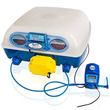 Borotto Real 49 Expert | Couveuse Oeuf Automatique 49 Oeuf ou 196 Petit avec Retournement Automatique, Contrôle de la Température et Humidificateur Automatique Sirio | Made in Italy