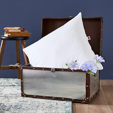 DODO Lot de 2 Oreillers Anti-Acariens Végétal 60x60 cm - Confort Médium, Enrichis à l'huile de Lin - Enveloppe 100% Polyester - Garnissage Synthétique - Lavable en Machine à 40°C