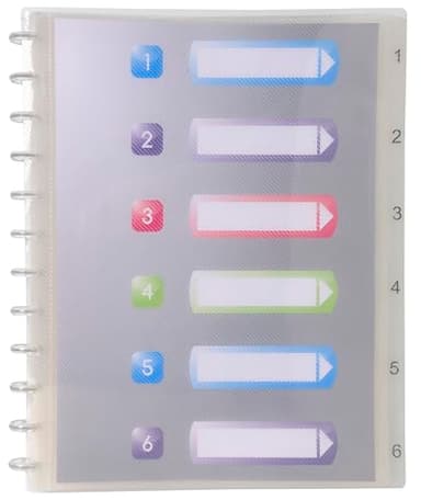 Exacompta - Réf. 86320E - 1 Protège-documents amovibles à anneaux - 30 pochettes cristal lisse - intercalaires rigides imprimés détachables - couverture en polypro rigide - couleur cristal