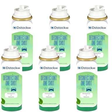 DSTOCK60 - Aérosol One Shot Nettoyant Climatisation & Habitacle Auto – Parfum Menthe – Élimine les Mauvaises Odeurs – Traitement Intérieur Véhicule, Chambres Froides, Convecteurs – 150ml (6 aérosols)