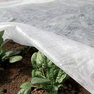 TENAX Ortoclima Plus 2,40x10 m Blanc, Voile d'Hivernage pour Plantes et Cultures, en Tissu Non Tissé 30 g/m², Protège les Plantes, Fleurs et Légumes du Froid, du Gel et du Vent