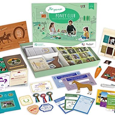 Amulette - Coffret Mon Premier Poney Club - Jeu Éducatif 6 à 10 Ans - 70+ Accessoires pour Jouer à Son Club de Cheval - Jouet Cadeau Enfant Fille Garçon Métier Animaux - Fabriqué en France - Pony
