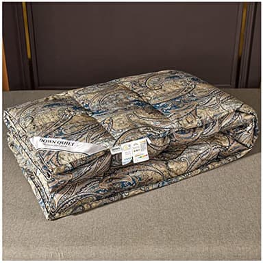 ZTGL Couette Hiver Duvet d'oie Et Plumes, 95% De Duvet d'oie Blanche Haute Pureté, Housse en Coton + Polyester Mélangé, Couette Anti-poussière Anti-Allergique Et Anti-Rides,D,200x230cm(2000g)