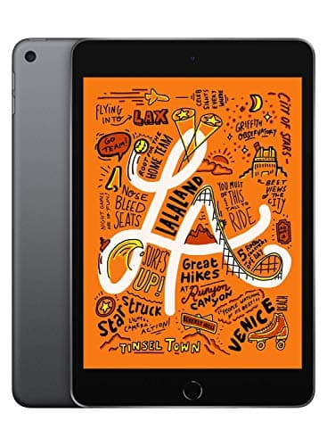 Apple iPad Mini 5 256Go Wi-Fi - Gris Sidéral (Reconditionné)