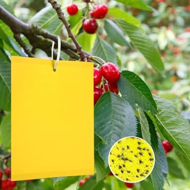 Panngu Lot de 20 tableaux jaunes pour cerisier, lutte contre les moustiques des champignons, autocollants jaunes pour arbres fruitiers, pièges à mouches des cerisiers, piège à mouches jaunes pour