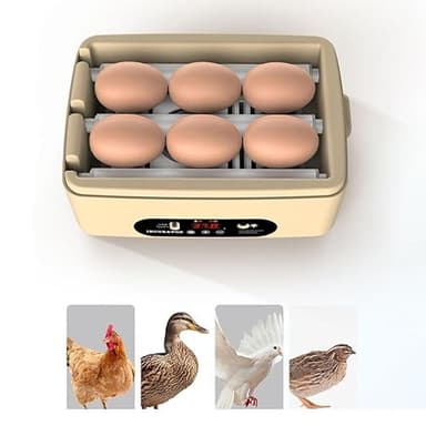 Mini Couveuse Oeuf Automatique, Incubateur Oeuf Automatique 6 Oeufs avec Retournement Automatique des Oeufs, Contrôle de la température, Pour l'incubation des Oeufs de Poulets, Cailles, Canards