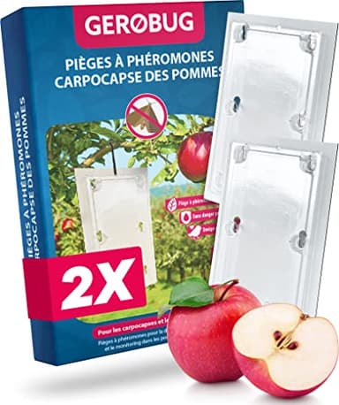 Piège à phéromones pour carpocapse Pommier 2 pièces - Pièges à phéromone Contre Le Ver des Pommes - Design de Produit respectueux des Oiseaux y Compris 2 Fils d'attache