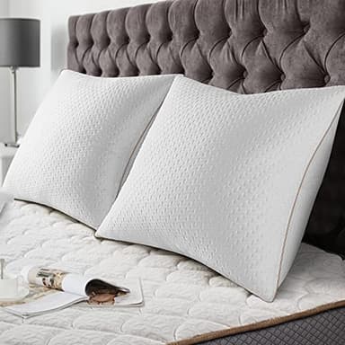 BedStory Oreiller 60x60 (2 Pièces) - Qualité Hôtelière de Luxe Oreiller - avec Housse en Fibres de Bambou Amovibles - Anti-acariens - Hypoallergénique -Confortable - Doux et Respirant