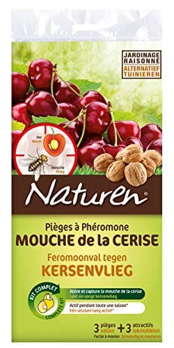 NATUREN Pièges à Phéromone Mouche de la Cerise, Vert