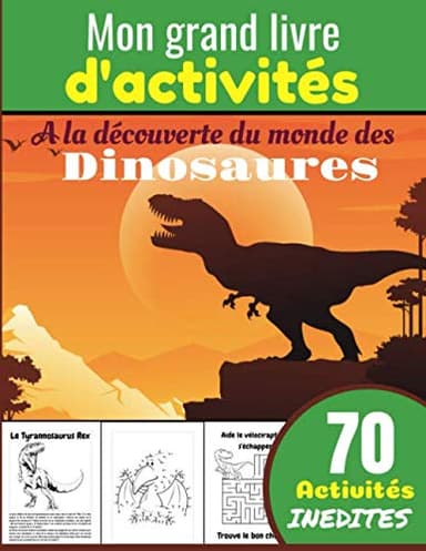 Mon grand livre d'activités, à la découverte du monde des dinosaures: Cahier d'activités dès 6 ans - Paires, Anagrammes, Coloriages éducatifs et plus ... les enfants, petits, frères, soeurs, neveu
