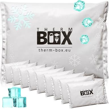 THERM BOX Lot de 10 blocs réfrigérants professionnels pour glacière - Grand format - 450 g - Réutilisables - Blanc