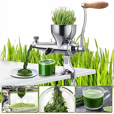 Extracteur de jus manuel en acier inoxydable - Presse-agrumes - Presse-agrumes - Filtre rapide pour fruits, légumes, gingembre, grenade