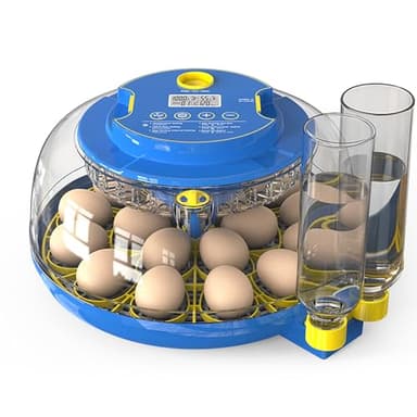 Couveuse Oeuf Automatique 18 œufs: Couveuse Automatique - FOFNON Incubateur Oeuf Automatique avec Retournement Automatique des œufs et Contrôle de L'humidité