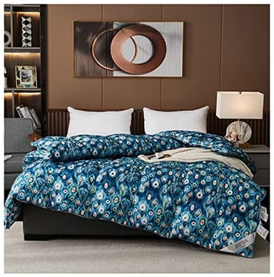 ZTGL Premium Couette Duvet d'oie Et Plumes, 95% De Duvet d'oie Blanche Haute Pureté, Housse en Coton Haute Densité, Couette Anti-poussière Anti-Allergique Et Anti-Rides,D,220X240cm/3.3kg