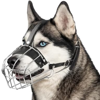 CleverTail Muselière Husky en métal pour chien de grande taille – Muselière pour chien avec sangles réglables en cuir – Muselière en cage en acier pour éviter de mordre et de manger – Protège-dents