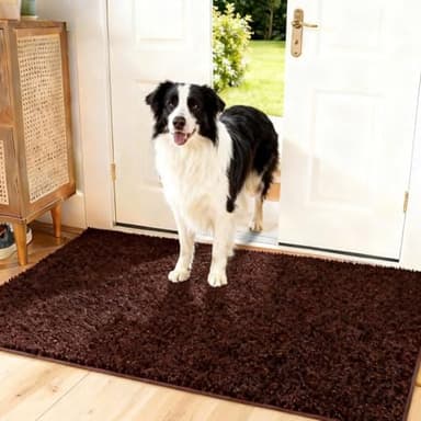 Qosigote Ovanor Tapis Ultra-Absorbant - Pattes d'animaux, Tapis Ovanor, Sol Antidérapant Lavable en Machine avec Microfibres Douces Absorbantes pour Chien, Entrée, Porte Et Couloir (Café,60 x 90 cm)