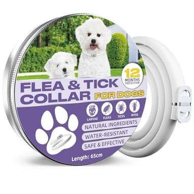 Collier Anti Puces pour Chien, 12 Mois De Protection Efficace, Colliers Anti-Puces pour Chiens 65cm, Réglable Et Étanche, Convient Aux Chiens De Toutes Tailles (1 Pack)