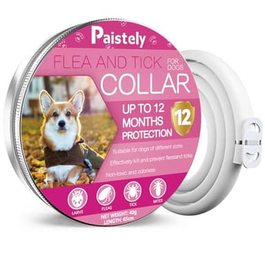 Collier Anti-puces pour Chiens, Collier Anti-puces sûr et Efficace pour Chiens composé d'huiles essentielles Naturelles, efficacité 12 Mois Collier Anti-tiques pour Chiens (65cm)