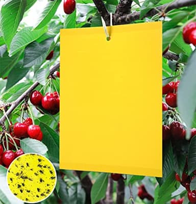 Y.A. LOTUS 20 Pièges Jaune Mouche piège Double Face, pour Insectes Volants - Serre et Dehors pour Jardin Plante Fleur Fruits, Pucerons, Moucherons fongiques, Mouches. avec Attaches de Câble(15x20cm)