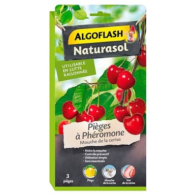 ALGOFLASH Pièges à phéromone contre la mouche de la Cerise, Sans insecticide, 3 pièges, BIOPICER3A, Vert