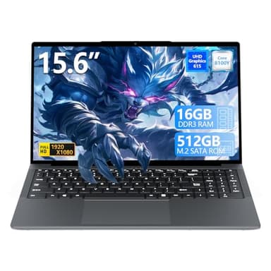 DIAKUOE 15,6 Pouces Ordinateur Portable 16Go RAM 512Go SSD, Core m3-8100Y Processeur, écran FHD 1920 x 1080, Win 11 Laptop Webcam, Wi-FI 5, Bluetooth 5.0, USB 3.0, HDMI, Type-C
